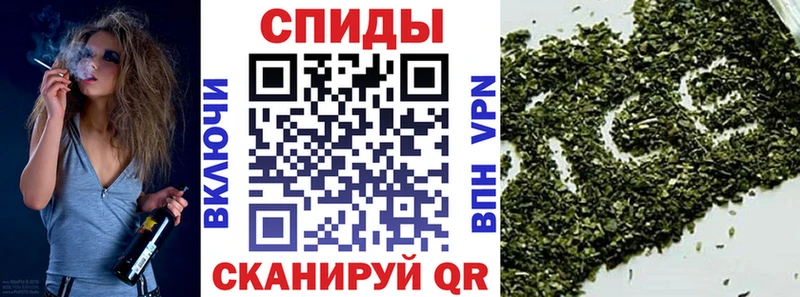 Бутират буратино  Чайковский 