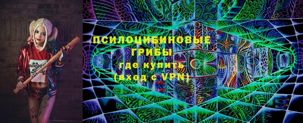 индика Аркадак