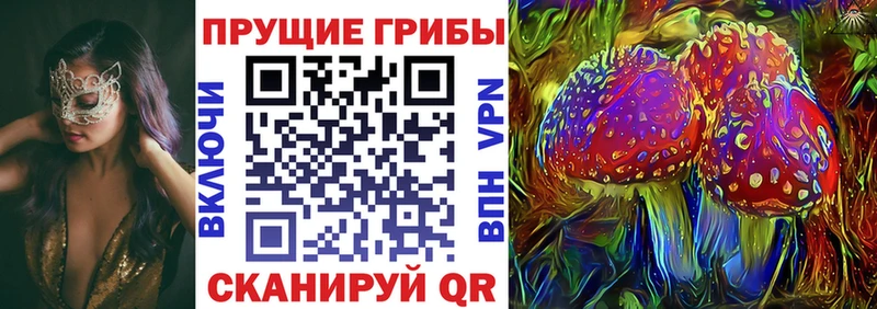 что такое наркотик  Чайковский  Галлюциногенные грибы мухоморы 